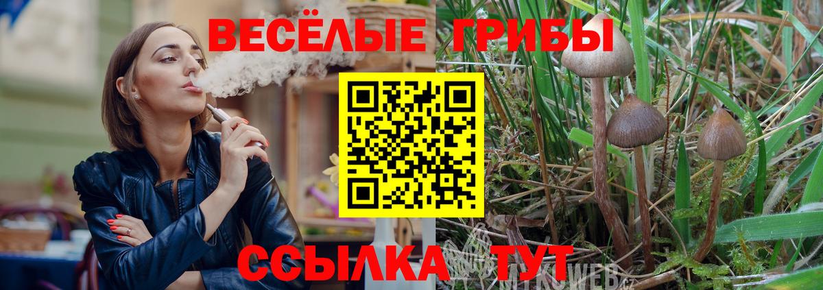 Галлюциногенные грибы Magic Shrooms  Галлюциногенные грибы Psilocybine cubensis  Ростов-на-Дону  хочу наркоту  Вход с VPN 