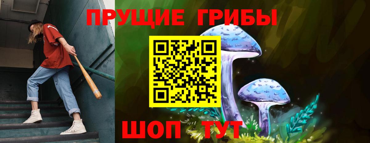 Галлюциногенные грибы GOLDEN TEACHER Ростов-на-Дону